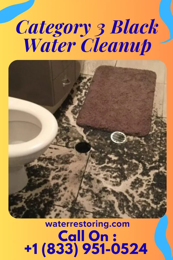 Category 3 Black Water Cleanup in Beavercreek, OH